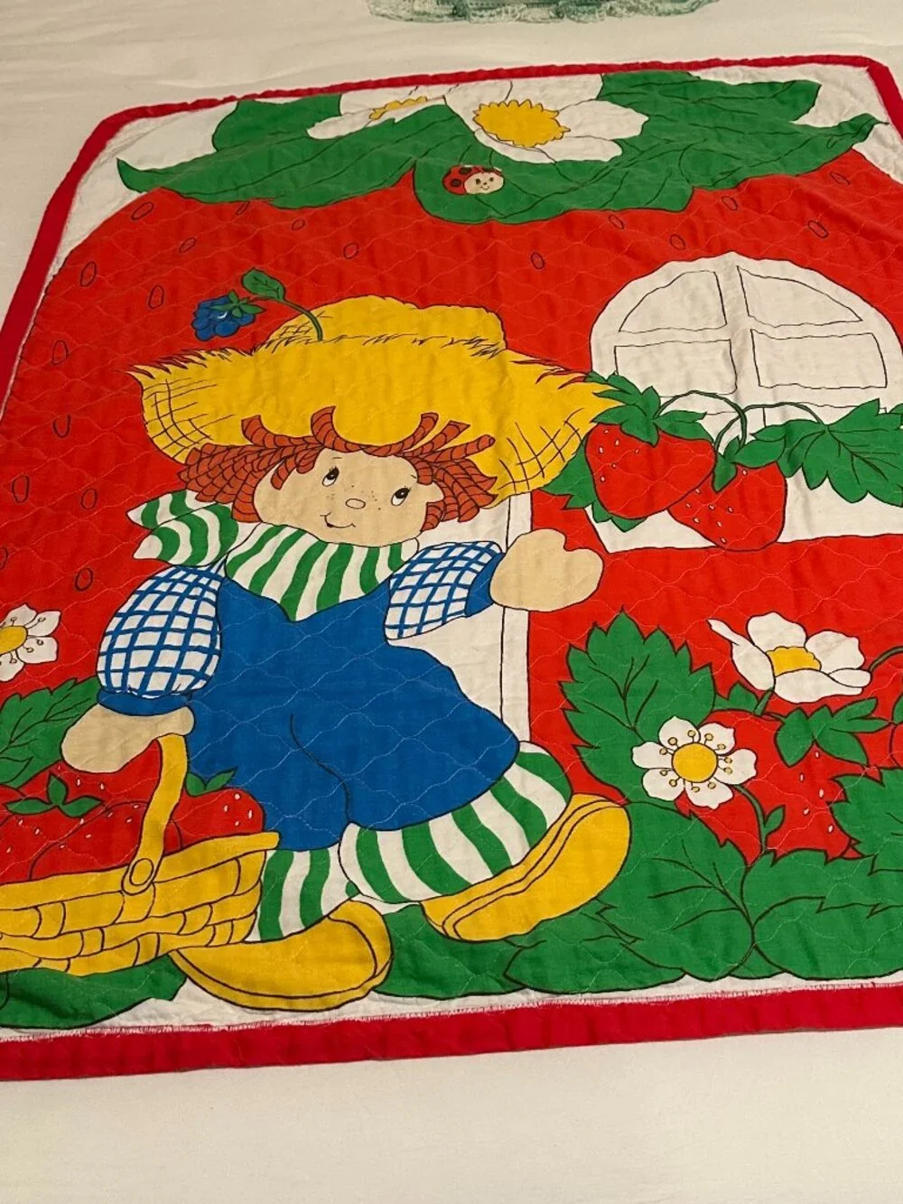 VTG 80s Huckleberry Pie Boy Strawberry Shortcake Thin Quilted Blanket
